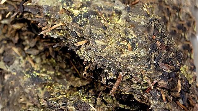 开云 开云体育平台世卫组织:停止饮用“1茶叶”或比喝酒还伤肝聪明人从来不碰(图6) 开云 开云体育平台世卫组织:停止饮用“1茶叶”或比喝酒还伤肝聪明人从来不碰(图6)