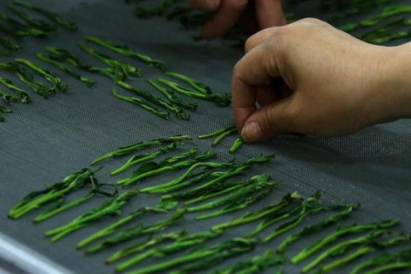 中国十大名贵茶叶:第开云 开云体育官网一名最贵平均一克两万这喝的还是茶吗?(图4) 中国十大名贵茶叶:第开云 开云体育官网一名最贵平均一克两万这喝的还是茶吗?(图4)