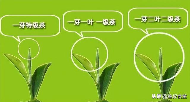 开云 开云体育APP才知道!茶叶包装上有这3大特征均是100%天然优质茶建议了解(图4) 开云 开云体育APP才知道!茶叶包装上有这3大特征均是100%天然优质茶建议了解(图4)