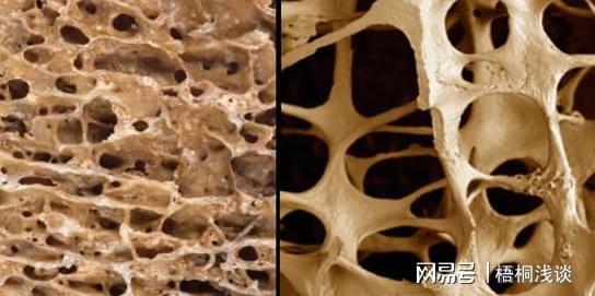 土壤结开云 开云体育APP块、花草黄叶?3个小方法让植物叶绿根壮、长得旺(图3) 土壤结开云 开云体育APP块、花草黄叶?3个小方法让植物叶绿根壮、长得旺(图3)