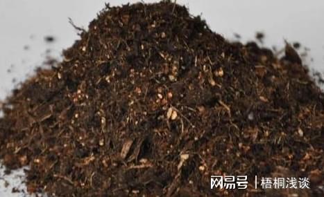 土壤结开云 开云体育APP块、花草黄叶?3个小方法让植物叶绿根壮、长得旺(图7) 土壤结开云 开云体育APP块、花草黄叶?3个小方法让植物叶绿根壮、长得旺(图7)