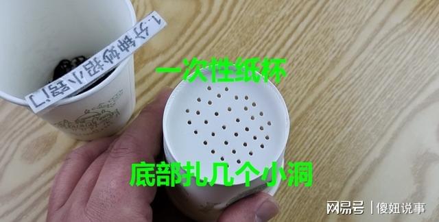 开云 开云体育过年来客人在一次性纸杯底部扎了几个小洞客人看了都夸聪明(图3) 开云 开云体育过年来客人在一次性纸杯底部扎了几个小洞客人看了都夸聪明(图3)