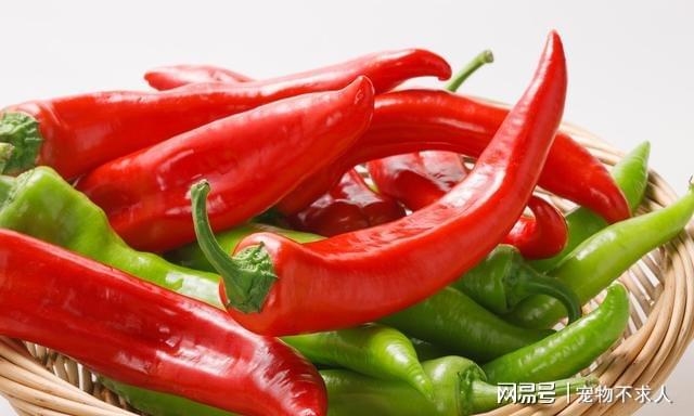 胃不舒服来“饮茶开云 开云体育平台”推荐几种对胃有好处的茶(图3) 胃不舒服来“饮茶开云 开云体育平台”推荐几种对胃有好处的茶(图3)
