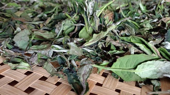 开云体育 开云官网茶叶市场逐渐回暖!2023年云茶产业两大变局(图8) 开云体育 开云官网茶叶市场逐渐回暖!2023年云茶产业两大变局(图8)