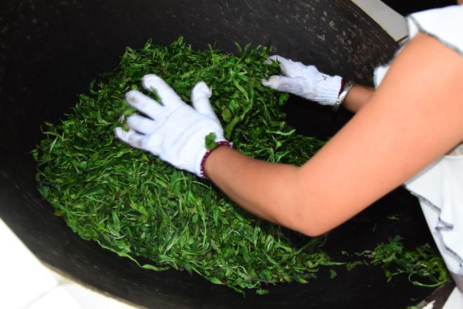 开云体育 开云官网茶叶市场逐渐回暖!2023年云茶产业两大变局(图11) 开云体育 开云官网茶叶市场逐渐回暖!2023年云茶产业两大变局(图11)