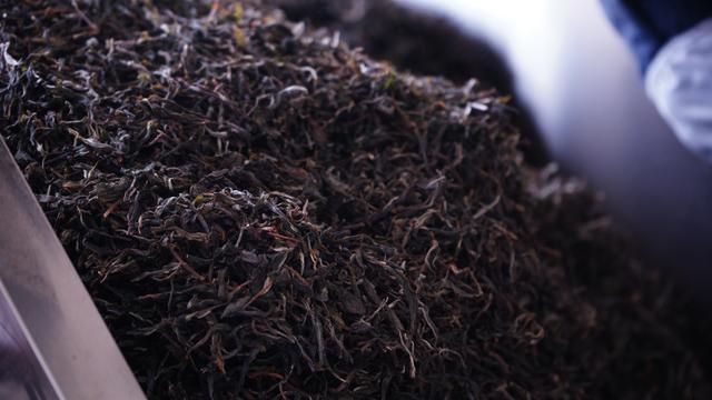 开云体育 开云官网茶叶市场逐渐回暖!2023年云茶产业两大变局(图10) 开云体育 开云官网茶叶市场逐渐回暖!2023年云茶产业两大变局(图10)