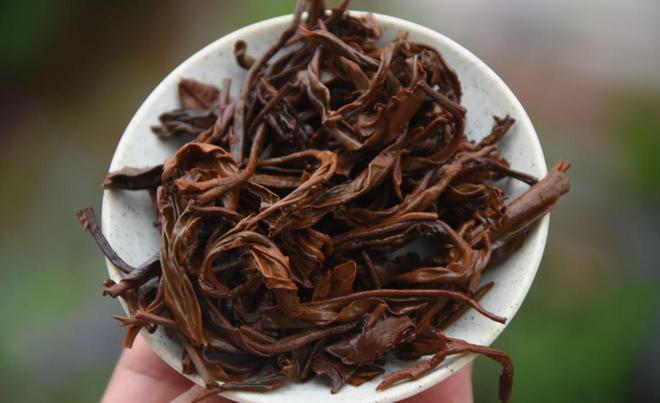 开云体育 开云官网茶叶市场逐渐回暖!2023年云茶产业两大变局(图13) 开云体育 开云官网茶叶市场逐渐回暖!2023年云茶产业两大变局(图13)