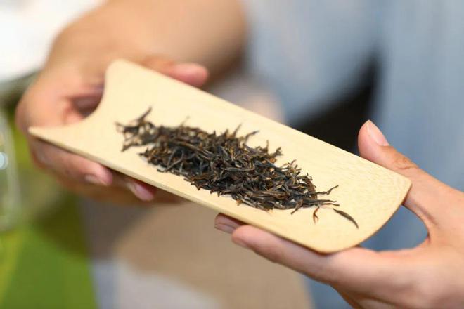 湘舜茶:茶叶怎么储存最好到底能不能放冰箱?开云体育 开云官网(图2) 湘舜茶:茶叶怎么储存最好到底能不能放冰箱?开云体育 开云官网(图2)