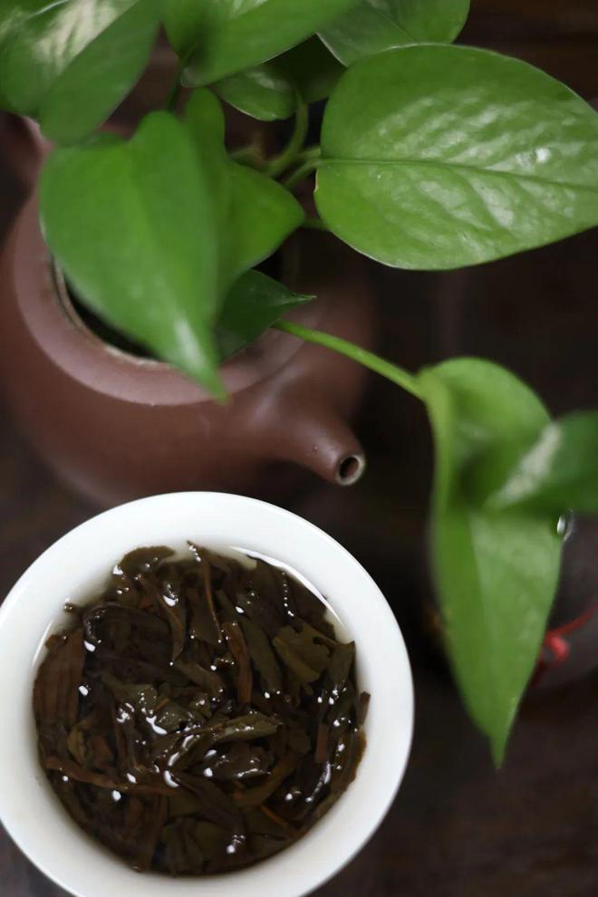 闽商好物开云 开云体育 好茶经得起泡!第五届武夷正岩杯榜眼茶(图3) 闽商好物开云 开云体育 好茶经得起泡!第五届武夷正岩杯榜眼茶(图3)